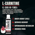Shredium™ - Liquid L-Carnitine