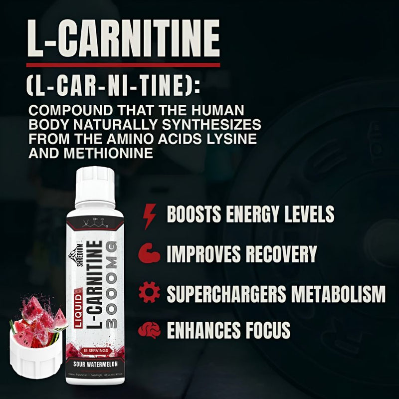 Shredium™ - Liquid L-Carnitine